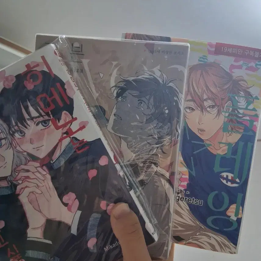 [BUNJANG] BL Manga Bundle Set / bl 만화책 일괄