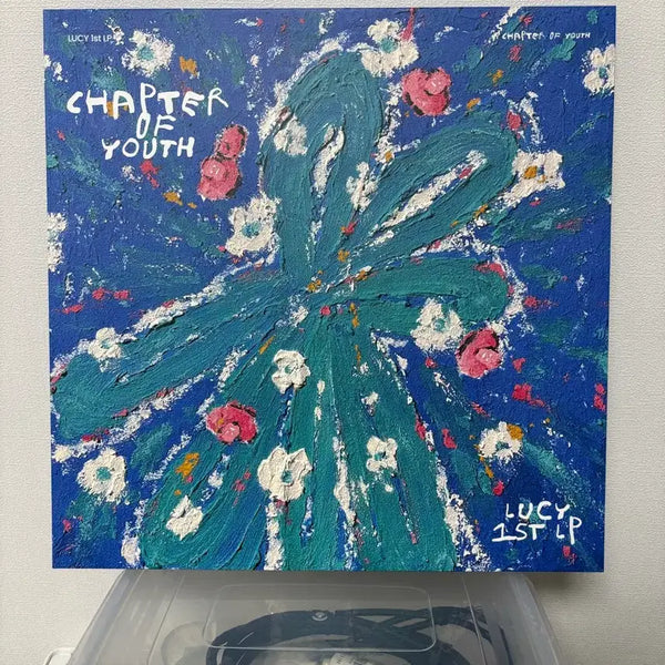 [BUNJANG] Lucy LP / 루시 LP