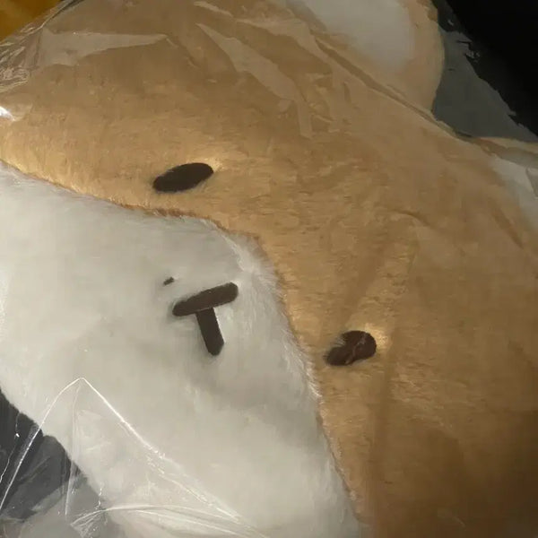 [BUNJANG] Teddy Bear Face Cushion (Sealed) / 터래기 얼굴 쿠션 미개봉