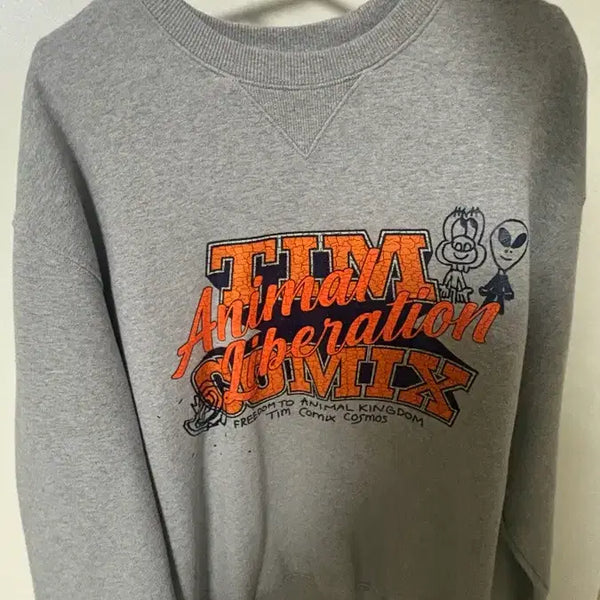 [BUNJANG] TeamComics Sweatshirt Gray / 팀코믹스 맨투맨