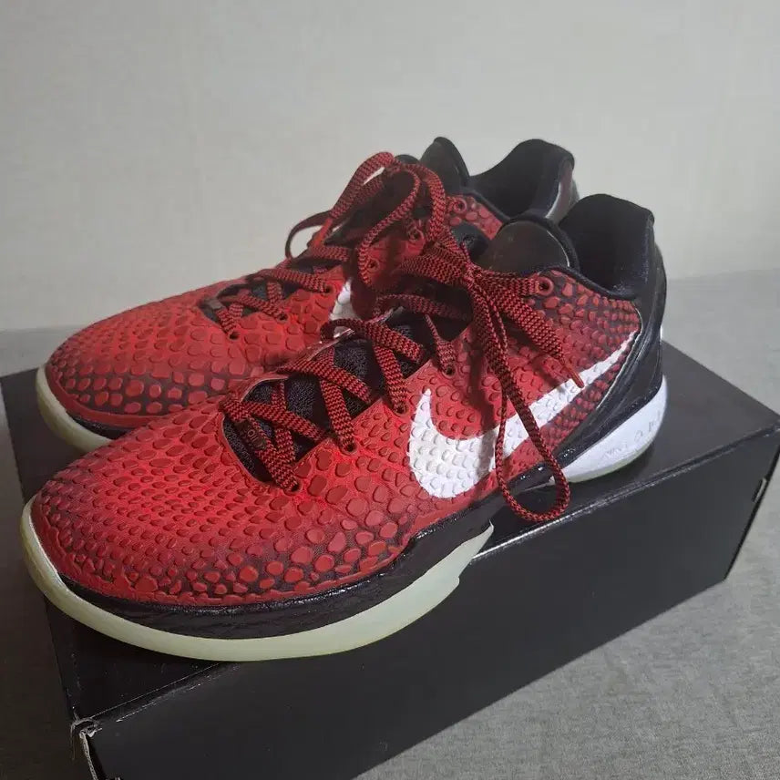 [BUNJANG] Nike Kobe 6 All-Star Sneakers / 코비6 올스타 (285)
