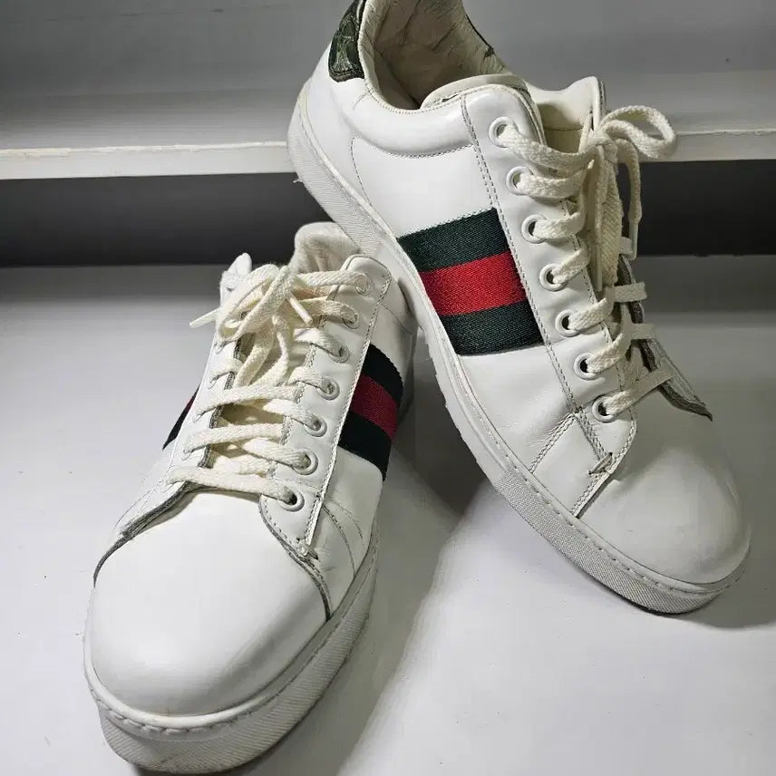 [BUNJANG] Gucci Ace Original Sneakers / 구찌 에이스 오리지널 판매합니다.