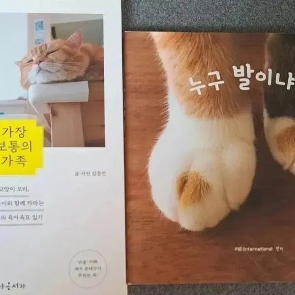 [BUNJANG] Cat Books Bundle Set / 고양이 관련책 2권 일괄