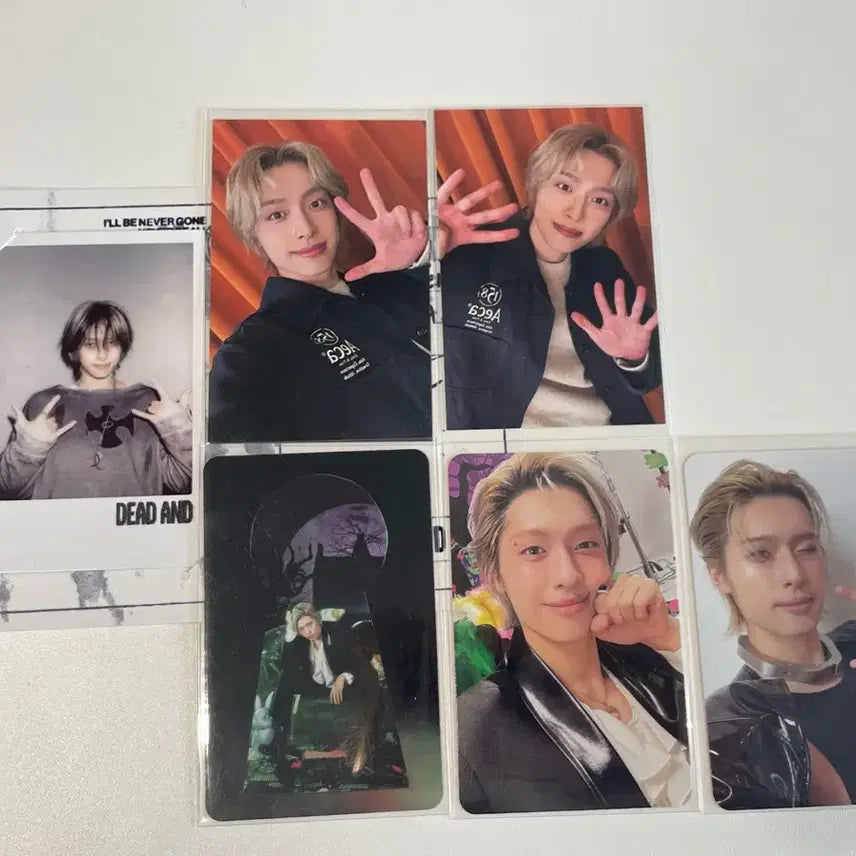 [BUNJANG] Xdinary Heroes Jiseok Photocard / 엑스디너리히어로즈 엑디즈 가온 지석 포카 포토카드 양도