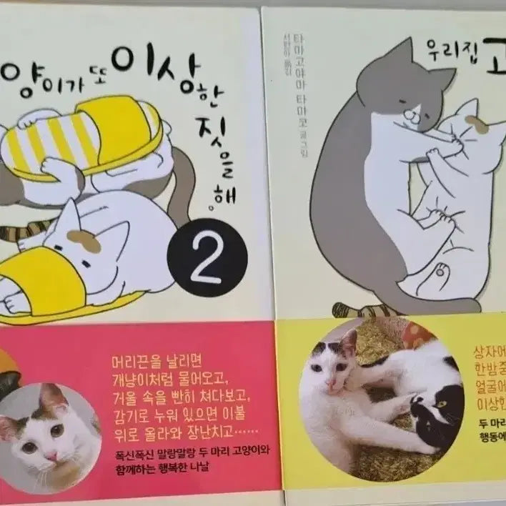 [BUNJANG] My Cat Is Doing Something Weird Again Vol. 2 Bundle Set / 만화책 우리집 고양이가 또 이상한 짓을 해 2권 일괄