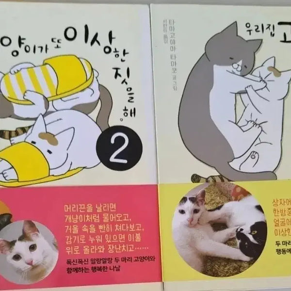[BUNJANG] My Cat Is Doing Something Weird Again Vol. 2 Bundle Set / 만화책 우리집 고양이가 또 이상한 짓을 해 2권 일괄
