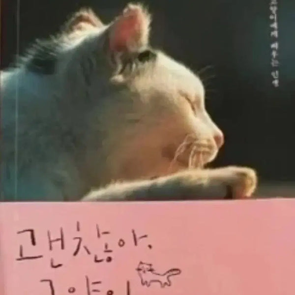 [BUNJANG] It's Okay, Cat Book / 서적 괜찮아 고양이
