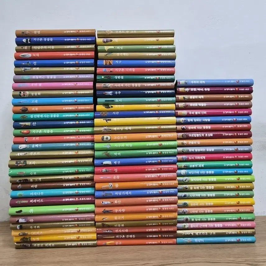 [BUNJANG] First Discovery Series Complete Set Children's Books / 첫 발견 시리즈 전집 어린이 도서