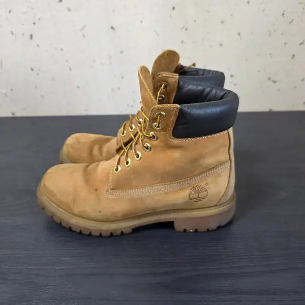 [BUNJANG] Timberland 6-Inch Waterproof Premium Boots / 팀버랜드 6인치 워터프루프 프리미엄부츠 255사이즈 팝니다.