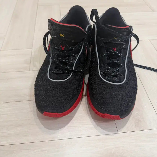 [BUNJANG] Nike LeBron 20 / 르브론 20