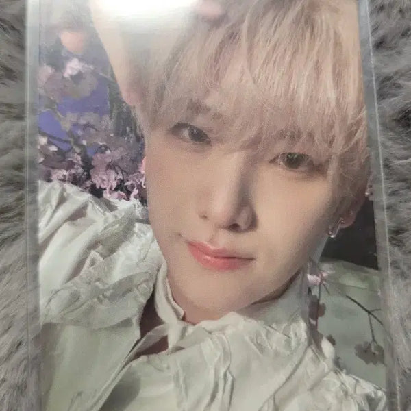 [BUNJANG] &TEAM Yuma Samidare Photocard / 앤팀 유마 사미다레 포카 andteam yuma