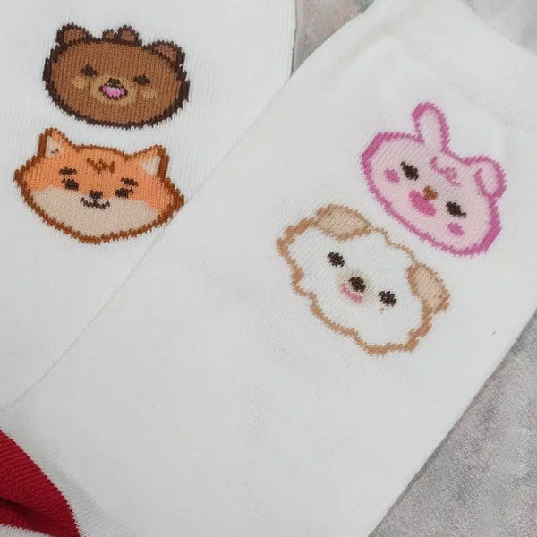 [BUNJANG] DAY6 Concert Socks / 데이식스 클콘 양말