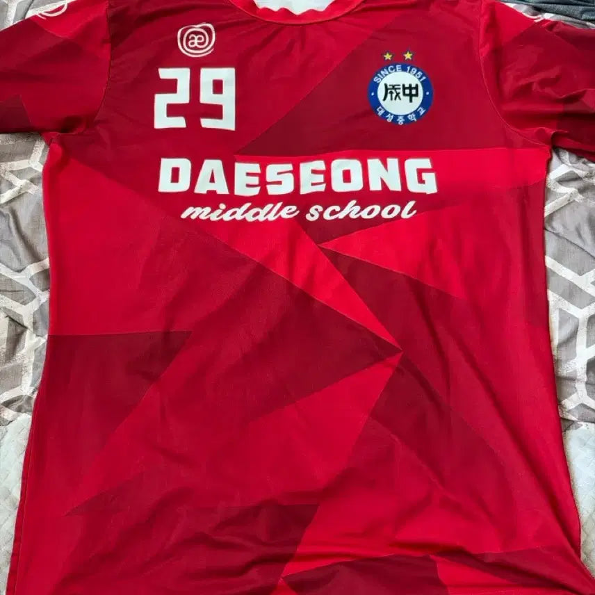 [BUNJANG] Daesung Middle School Soccer Uniform #29 / 대성중학교 축구 유니폼 29번
