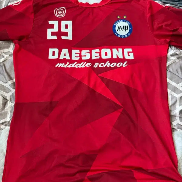 [BUNJANG] Daesung Middle School Soccer Uniform #29 / 대성중학교 축구 유니폼 29번