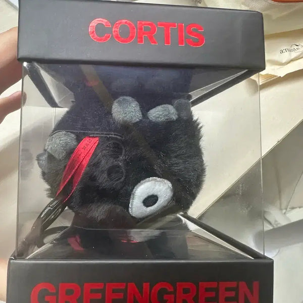 [BUNJANG] CORTEZ Bol TNT Version Photocard Holder / 코르티스 볼 티앤티 버전