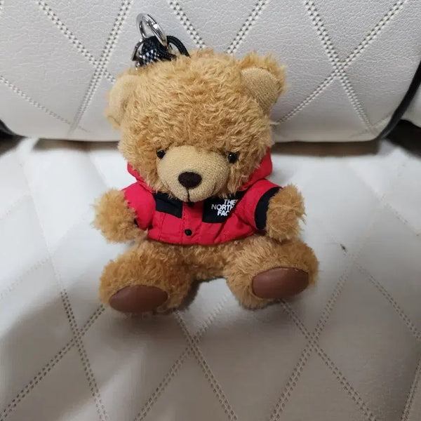[BUNJANG] The North Face Mountain Bear Keyring Brown / 노스페이스 공식 NA5AR57A 마운틴 베어 키링 BRW