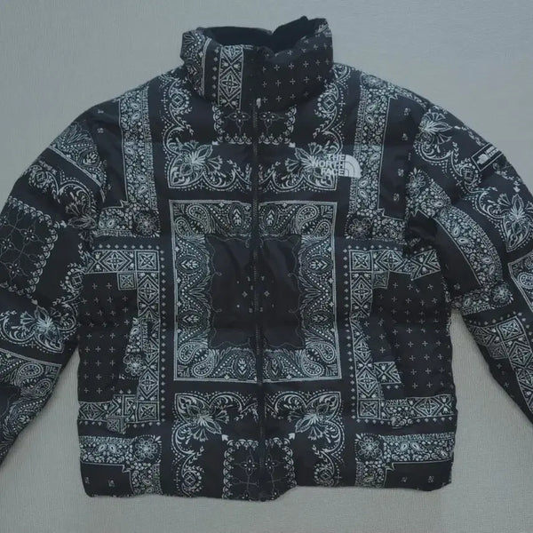 [BUNJANG] The North Face Novelty Lofty Goose Down Puffer Jacket (L) / (정품) 노스페이스 노벨티 로프티 구스 패딩(L)