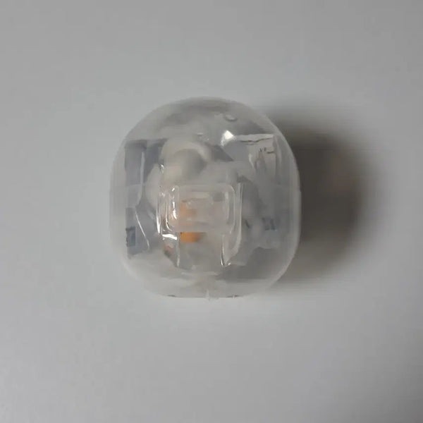[BUNJANG] Mochinimel Cat Mini Figure Goods / 동물가챠 모찌니멀 고양이 미니피규어 굿즈