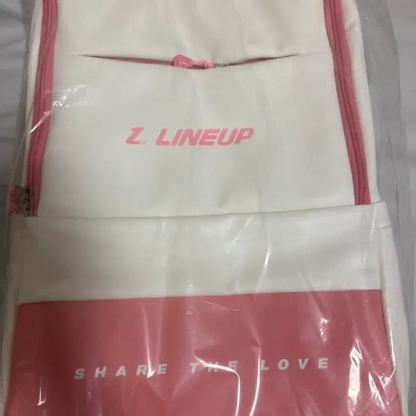 [BUNJANG] Z LINEUP Pouch / 운동가방
