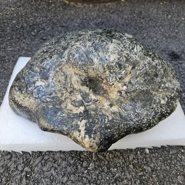 [BUNJANG] Leopard Stone Natural Stone (Approx. 30cm) / 호피석 수석 자연석 포인트가 있고 밑자리 좋음 크기 30센치정도 매력적인 자연석이에요