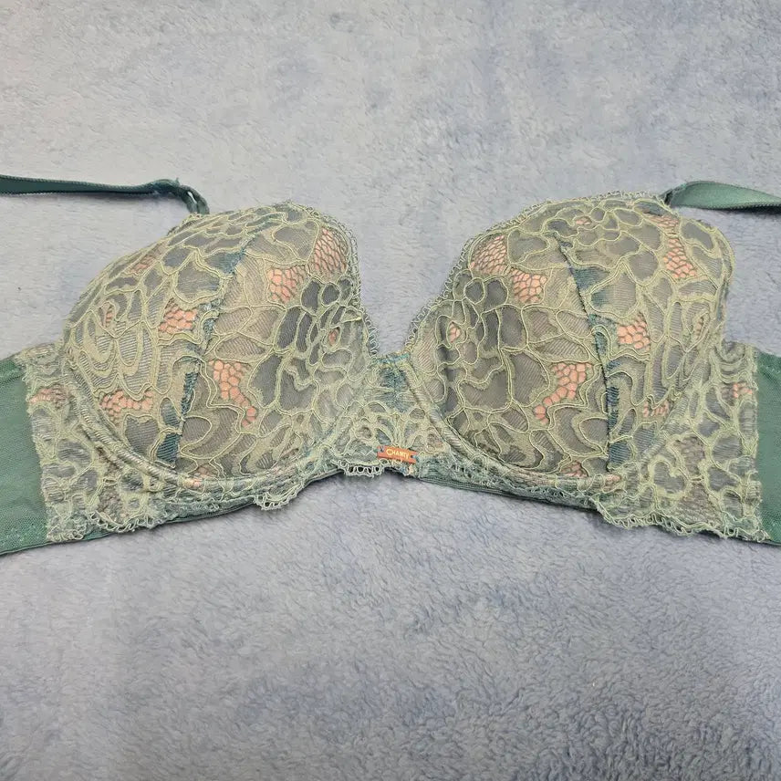 [BUNJANG] Chanti Mint Green Lace Bra (Used) / (중고)[75B] 여성 샹티 민트 그린 레이스 브라