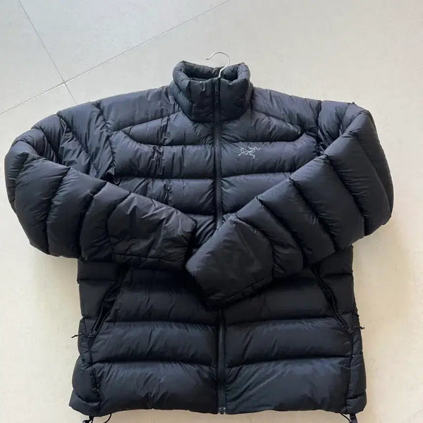 [BUNJANG] Arc'teryx Cerium SV Jacket Size L / 아크테릭스 세륨sv l사이즈 판매합니다