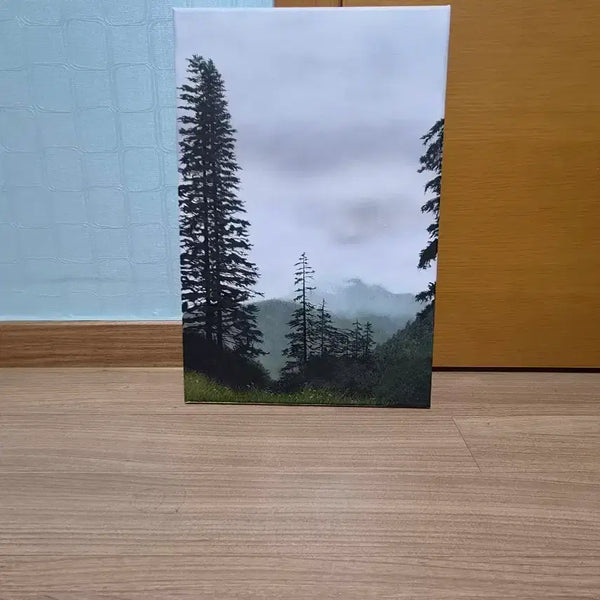 [BUNJANG] Oil Painting / 유화그림