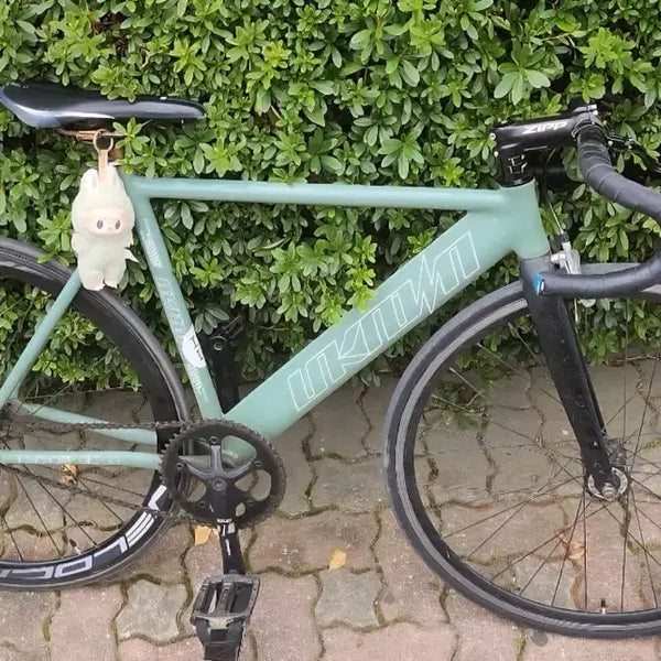 [BUNJANG] Unknown Lv2 Bicycle Mint Green / 언노운 Lv2 민트그린 판매