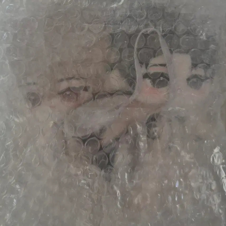 [BUNJANG] Nyangchangha Character Doll / 변호됨 인형 늉강차