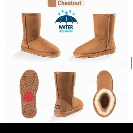 [BUNJANG] Authentic UGG Australia Boots / 호주어그
