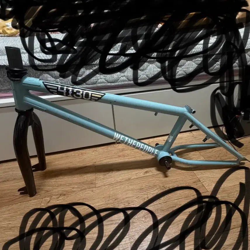 [BUNJANG] Tallorder BMX Frame / 톨오더 Bmx 프레임