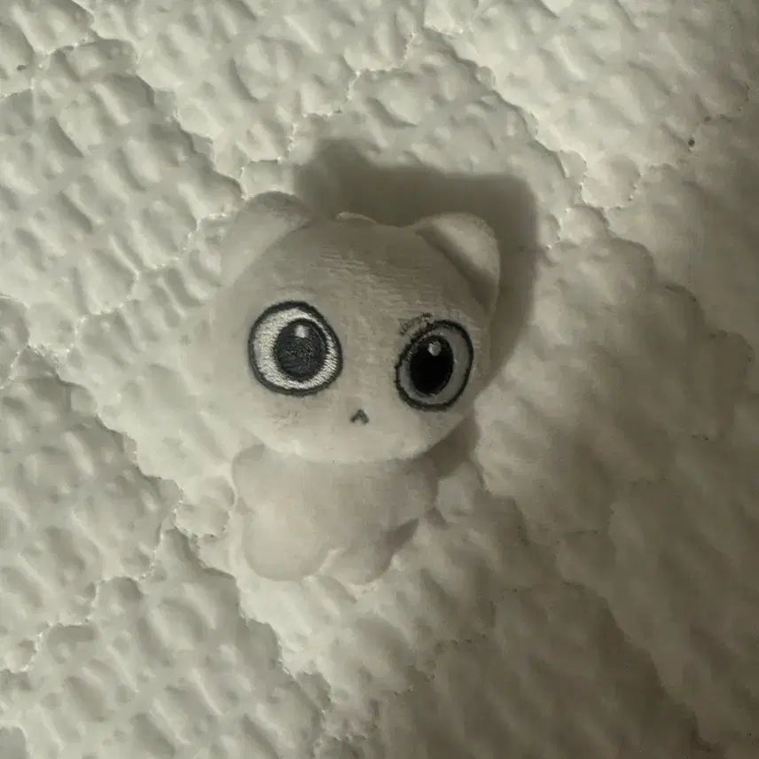[BUNJANG] BOYNEXTDOOR Sungho Yeppinyang Plush / 보이넥스트도어 성호 비공굿 인형 예삐냥 팝니다