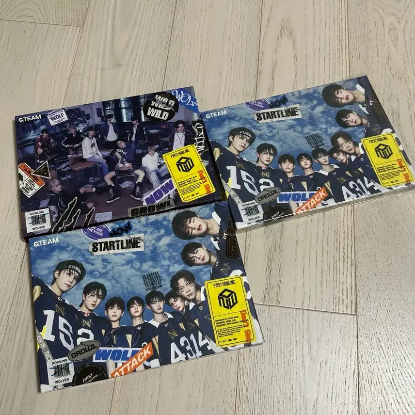 [BUNJANG] &TEAM Work;er;a;y First Howling Bundle Set Photocard Excluded / 일괄 앤팀 워크라이 first howling &TEAM 앨범 포카X