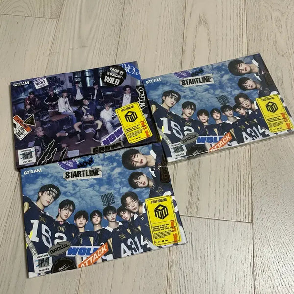 [BUNJANG] &TEAM Work;er;a;y First Howling Bundle Set Photocard Excluded / 일괄 앤팀 워크라이 first howling &TEAM 앨범 포카X