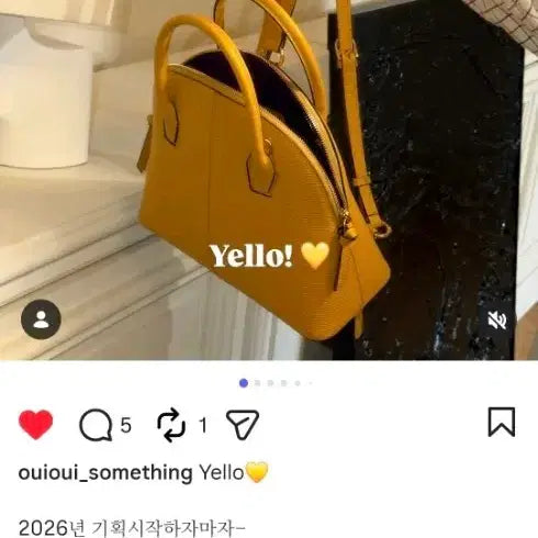 [BUNJANG] WEWE MERCI MEDIUM Yellow / (새상품) 위위 MERCI MEDIUM_ YELLO