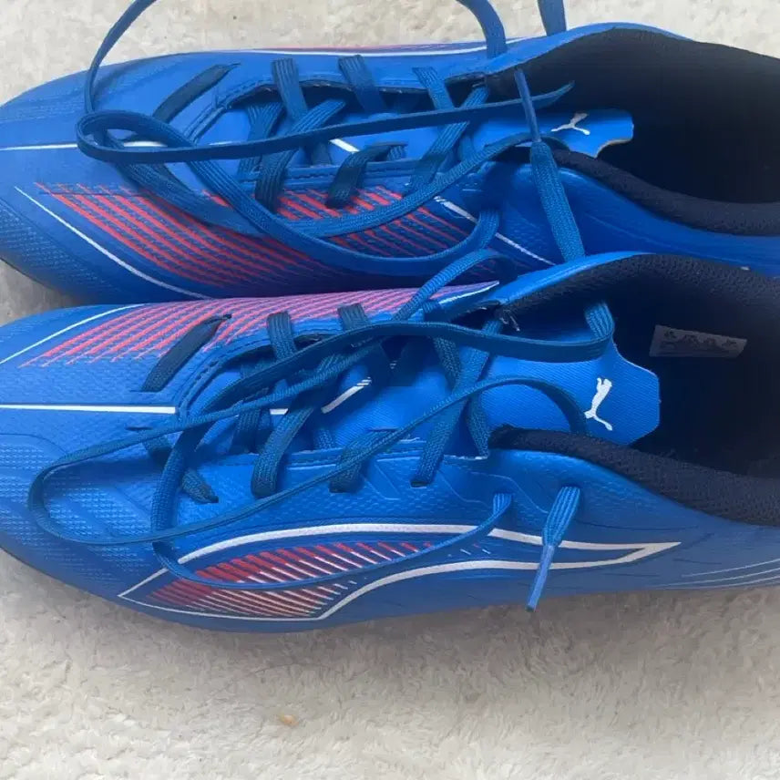 [BUNJANG] Puma Soccer Cleats / 퓨마 축구화
