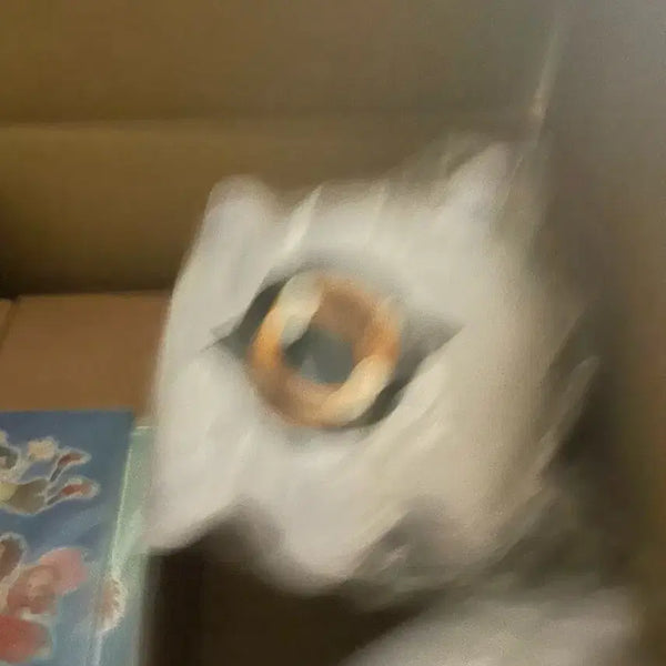 [BUNJANG] Digimon Kuramon Plush / [미개봉] 디지몬 쿠라몬 인형