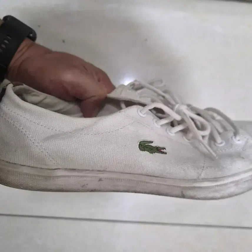 [BUNJANG] Lacoste White Sneakers / 라코스테