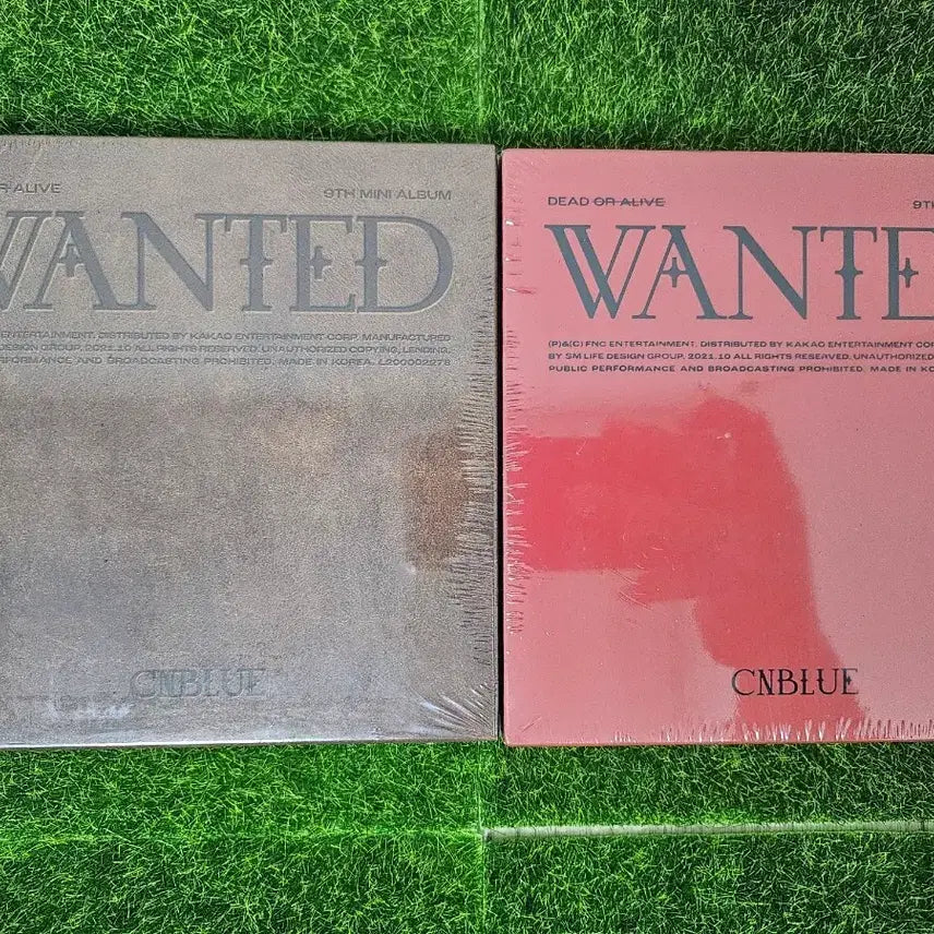 [BUNJANG] CNBLUE WANTED Mini 9th Album Bundle Set (Sealed) / 미개봉 CNBLUE WANTED 미니9집 씨엔블루2종일괄