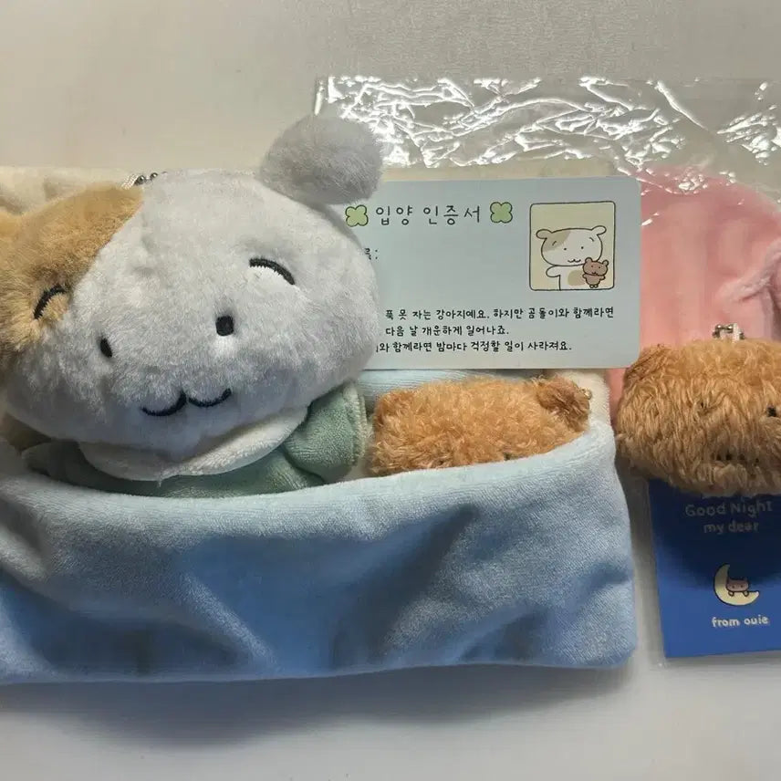 [BUNJANG] Wooi "Good Night Bear" Dog Set / 우이 강아지 인형 굿나잇 곰돌이 세트