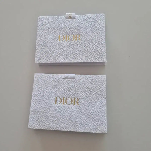 [BUNJANG] Dior Mini Shopping Bag Set (2 pcs) / 디올 미니 쇼핑백 2개