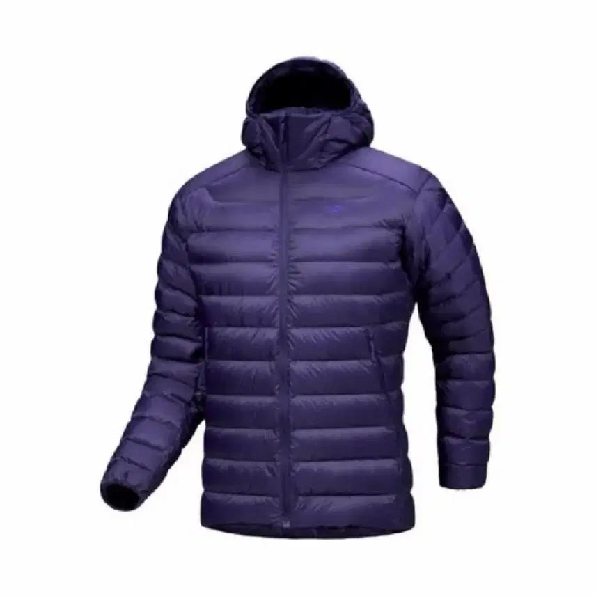[BUNJANG] Arc'teryx Cerium Hoody Sonic L / 아크테릭스 세륨 소울소닉 / L