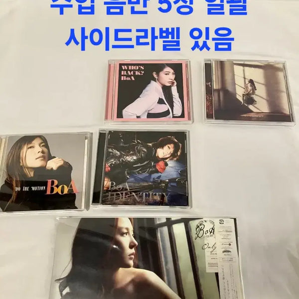 [BUNJANG] BoA Japan Import CD 5 Disc Bundle Set / 보아 BoA 일본 수입 CD 5장 일괄 판매