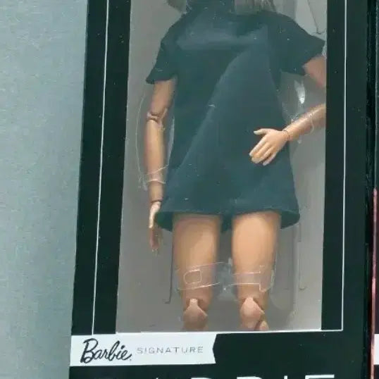 [BUNJANG] Barbie Basic Doll 01 / 바비 인형 베이식 01