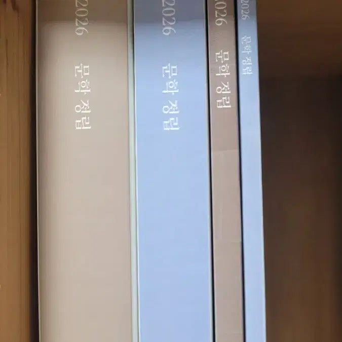 [BUNJANG] Siddaenjjae Son Changbin Literature Establishment Problem and Explanation Set (New) / (새상품 일괄) 시대인재 손창빈 문학정립 문제편+해설편