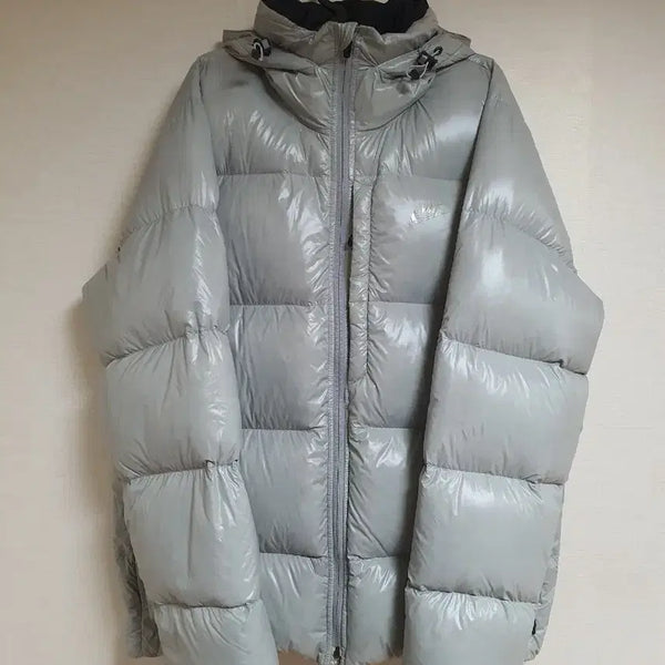 [BUNJANG] Nike 800 Fill Down Lightweight Padded Jacket / 나이키 800필 거위털 패딩