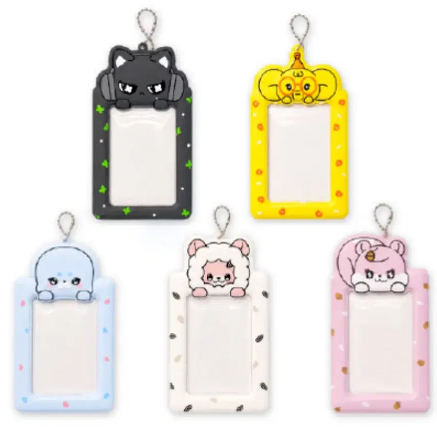 [BUNJANG] Photocard Holder Set (5 Types) / 포토카드 홀더 (5종 세트) 새상품