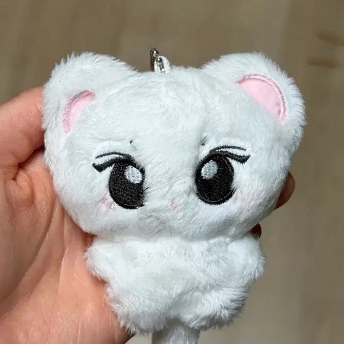 [BUNJANG] ENHYPEN Jungwon Cat Plush / 엔하이픈 정원 인형 정냥이니