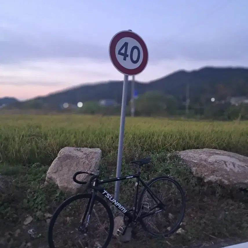 [BUNJANG] Tsunami SM100 Bicycle (2024) / 쓰나미sm100(구성다르게나갑니다) 내고가능
