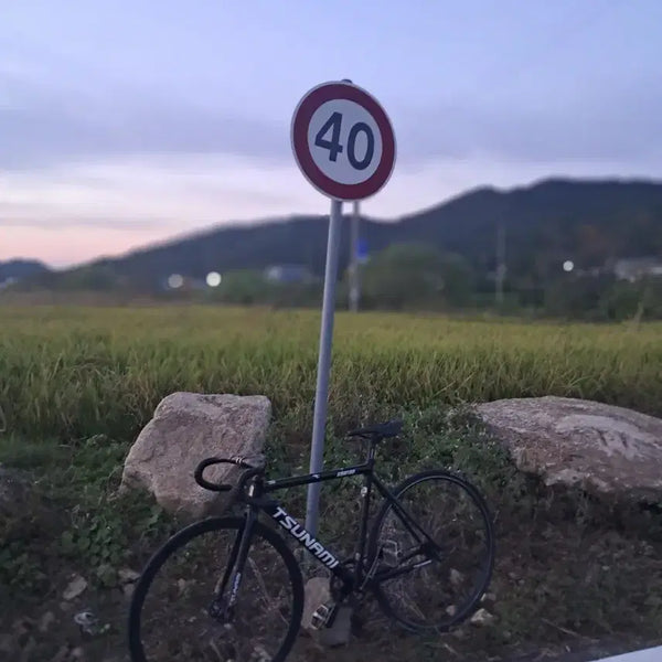 [BUNJANG] Tsunami SM100 Bicycle (2024) / 쓰나미sm100(구성다르게나갑니다) 내고가능